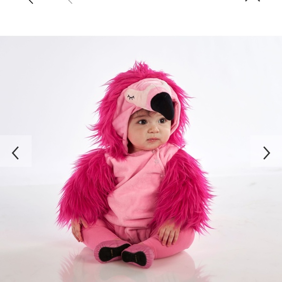 Baby Flamingo Halloween Costume - Picture 2 of 2
